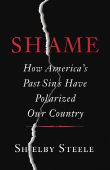 Shame: how America's past sins have polarized our country