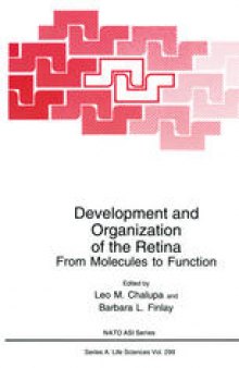 Development and Organization of the Retina: From Molecules to function