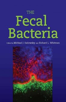 The fecal bacteria