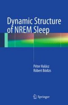 Dynamic Structure of NREM Sleep