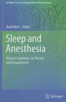 Sleep and Anesthesia: Neural Correlates in Theory and Experiment