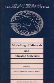 Modelling of Minerals and Silicated Materials (Topics in Molecular Organization and Engineering)