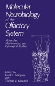 Molecular Neurobiology of the Olfactory System: Molecular, Membranous, and Cytological Studies