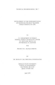 Development of Instrumentation, Modeling for Heat Transfer in CFBC - US DOE