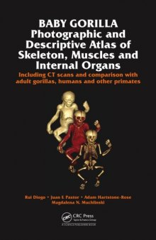 Baby gorilla : photographic and descriptive atlas of skeleton, muscles and internal organs including CT scans and comparison with adult gorillas, humans and other primates