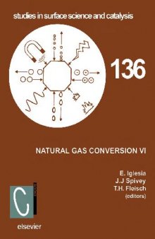 Natural Gas Conversion