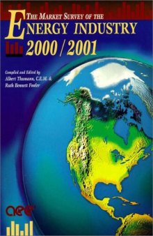 Market Survey of the Energy Industry 2000/2001