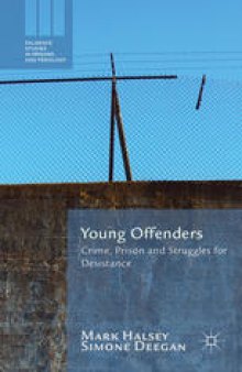 Young Offenders: Crime, Prison and Struggles for Desistance