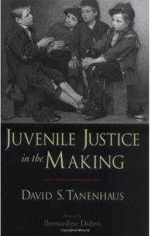 Juvenile Justice in the Making (Studies in Crime and Public Policy)