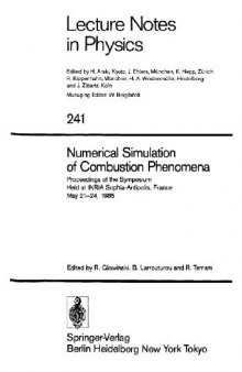 Numerical Simulation of Combustion Phenomena
