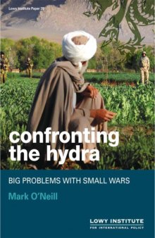 Confronting the hydra : big problems with small wars