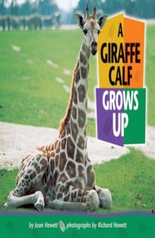 A Giraffe Calf Grows Up (Baby Animals)