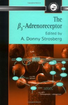 B3 Adrenoreceptor (Taylor & Francis Series in Pharmaceutical Sciences)