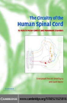 The circuitry of the human spinal cord: its role in motor control and movement disorders