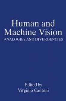 Human and Machine Vision: Analogies and Divergencies