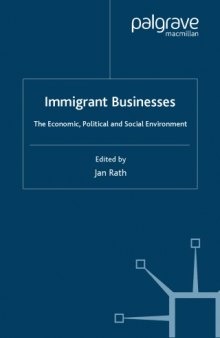 Immigrant businesses : the economic, political and social environment