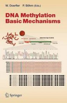 DNA Methylation: Basic Mechanisms