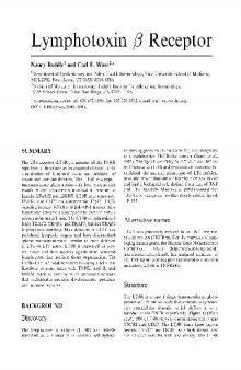 Lymphotoxin β Receptor