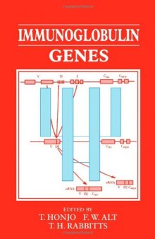 Immunoglobulin Genes