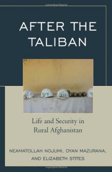After the Taliban: life and security in rural Afghanistan  