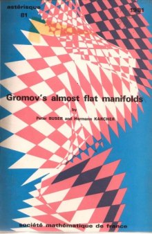 Gromov's almost flat manifolds  issue 81