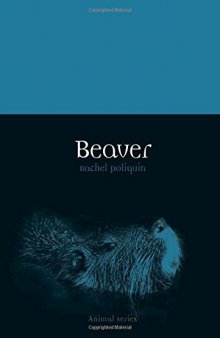 Beaver