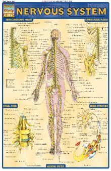 BarCharts QuickStudy Nervous System