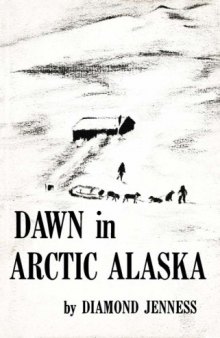 Dawn in Arctic Alaska