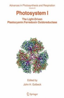 Photosystem I: The Light-Driven Plastocyanin:Ferredoxin Oxidoreductase