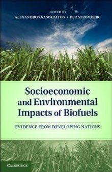 Socioeconomic and Environmental Impacts of Biofuels: Evidence from Developing Nations