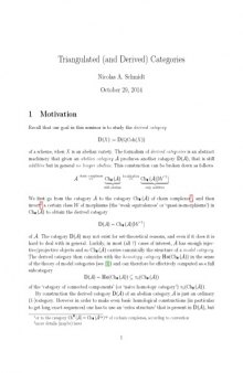 Triangulated (and Derived) Categories [expository notes]