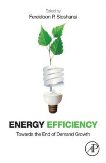 Energy Efficiency  Towards the End of Demand Growth
