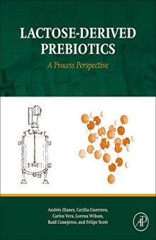 Lactose-derived prebiotics: a process perspective