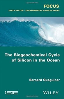 The biogeochemical cycle of silicon in the ocean