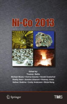 Ni-Co 2013