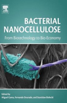 Bacterial nanocellulose: from biotechnology to bio-economy