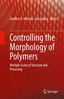 Controlling the Morphology of Polymers: Multiple Scales of Structure and Processing