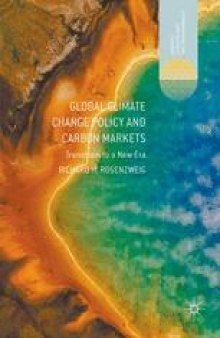 Global Climate Change Policy and Carbon Markets: Transition to a New Era 