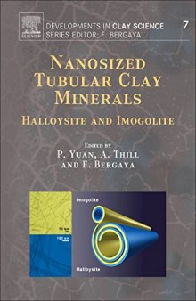 Nanosized Tubular Clay Minerals Halloysite and Imogolite