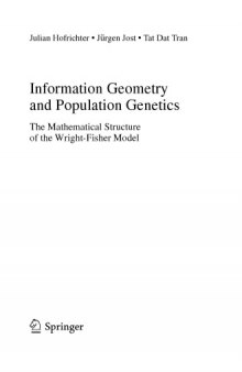 Information Geometry and Population Genetics: The Mathematical Structure of the Wright-Fisher Model