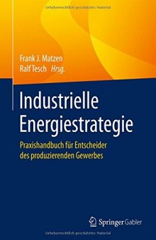 Industrielle Energiestrategie: Praxishandbuch für Entscheider des produzierenden Gewerbes
