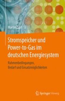 Stromspeicher und Power-to-Gas im deutschen Energiesystem: Rahmenbedingungen, Bedarf und Einsatzmöglichkeiten