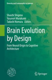 Brain Evolution by Design: From Neural Origin to Cognitive Architecture
