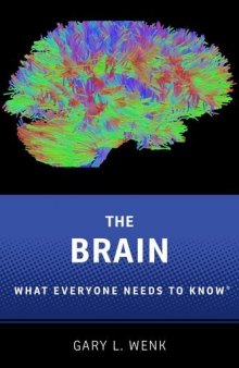 The brain : what everyone needs to know