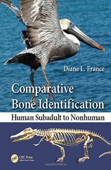 Comparative bone identification : human subadult to nonhuman