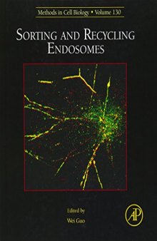 Sorting and recycling endosomes