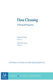 Data Cleaning. A Practical Perspective
