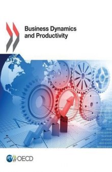 Business Dynamics and Productivity