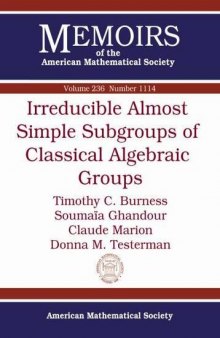 Irreducible Almost Simple Subgroups of Classical Algebraic Groups