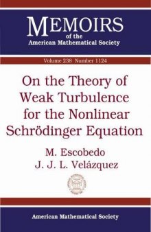 On the Theory of Weak Turbulence for the Nonlinear Schrodinger Equation
